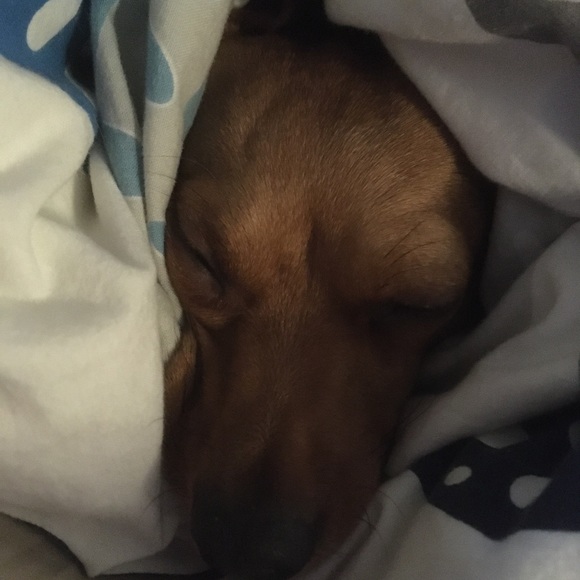 Meet your Posher, Rachel - Picture 1 of 1